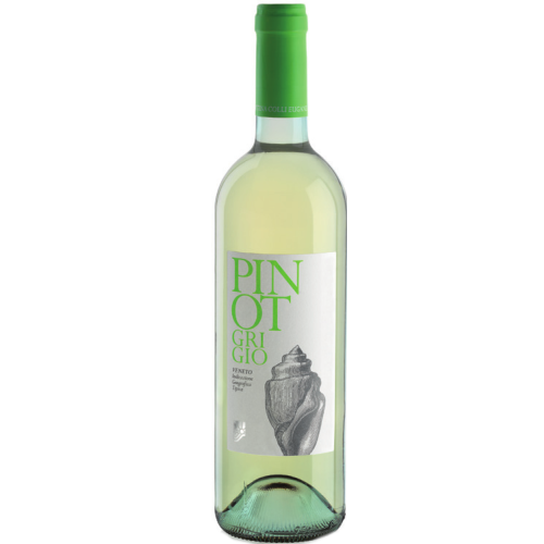 Colli Euganei - Pinot Grigio 2022 IGT